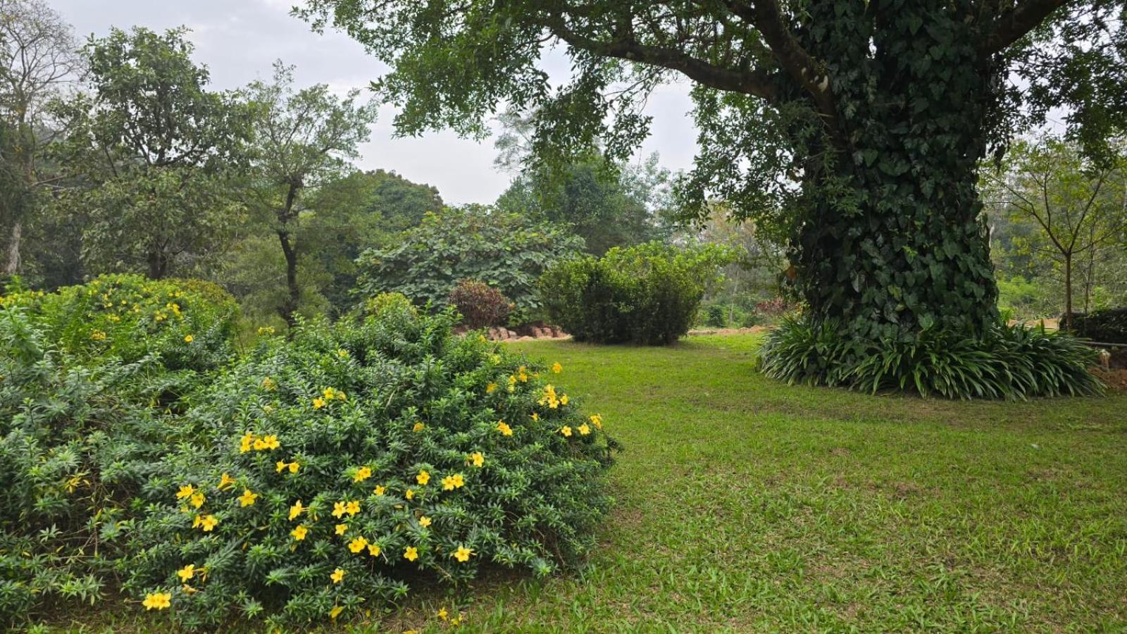 Highland Estate Hotel Sakleshpur Exterior photo